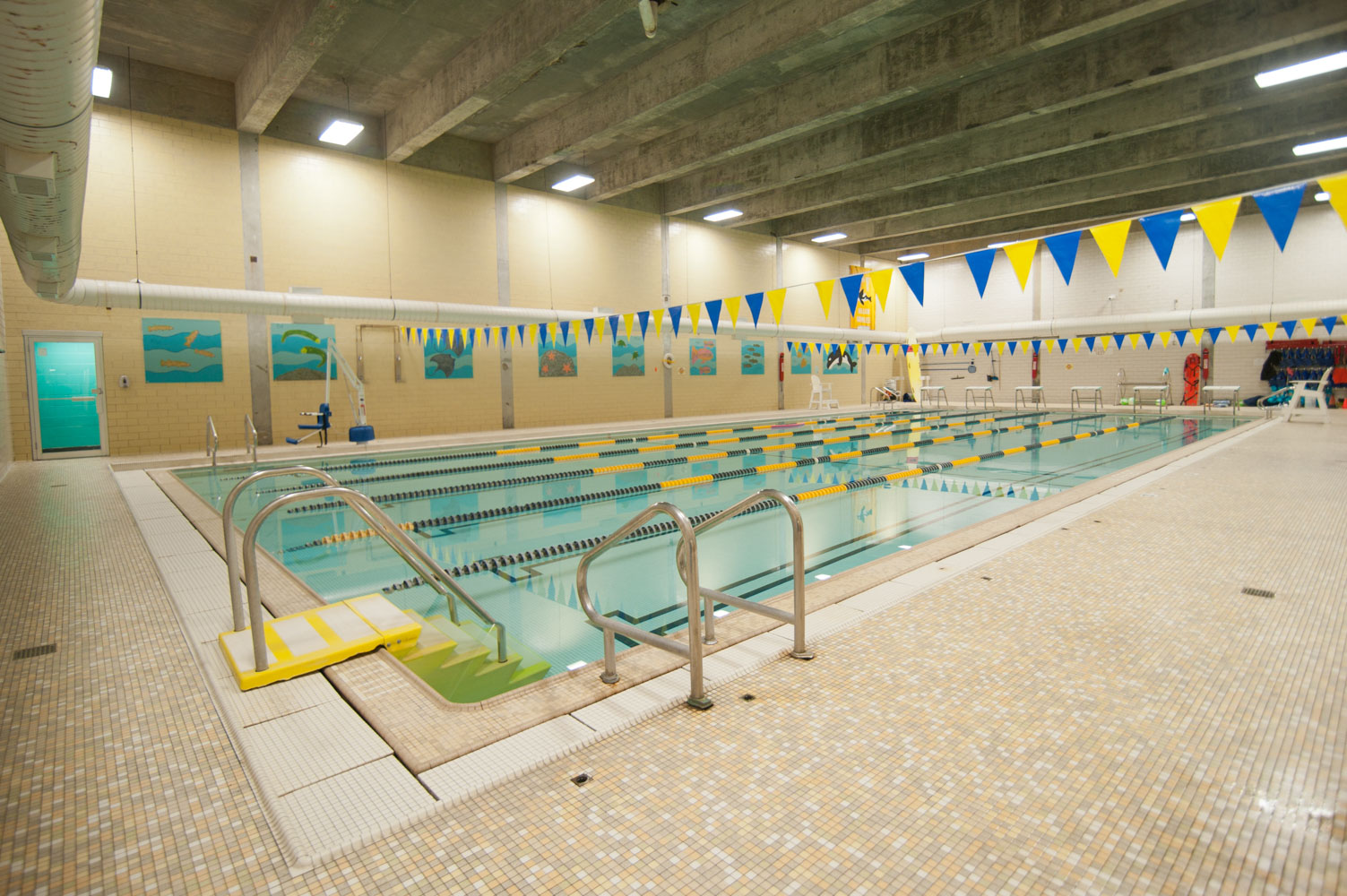 Lynn Ymca Housing at Ernest Jenkins blog